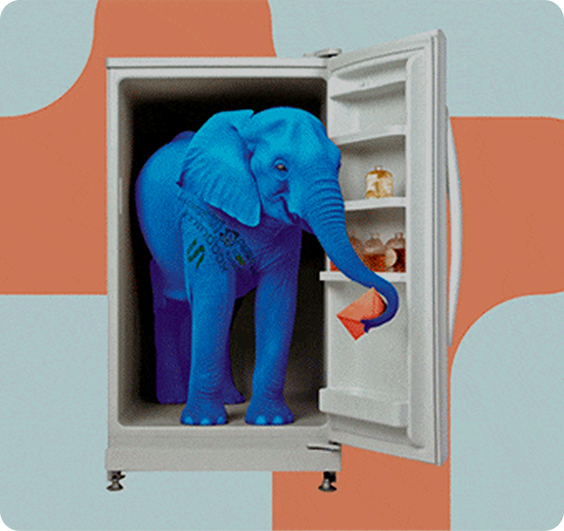 CRM_kak_slon_v_holodilnike